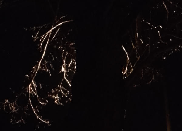 je opravdu konec 600